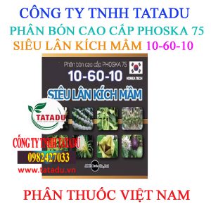 SIEU LAN KICH MAM 10 60 10