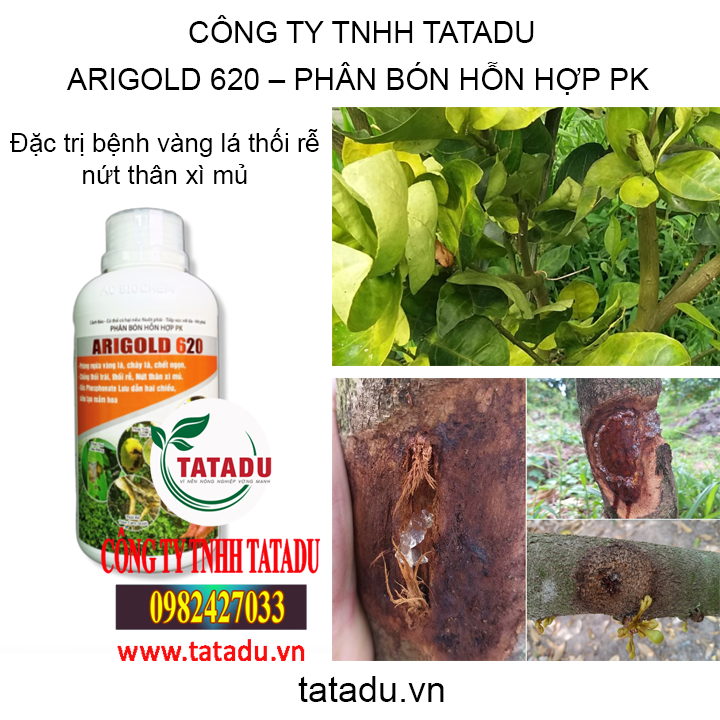 ari tatadu