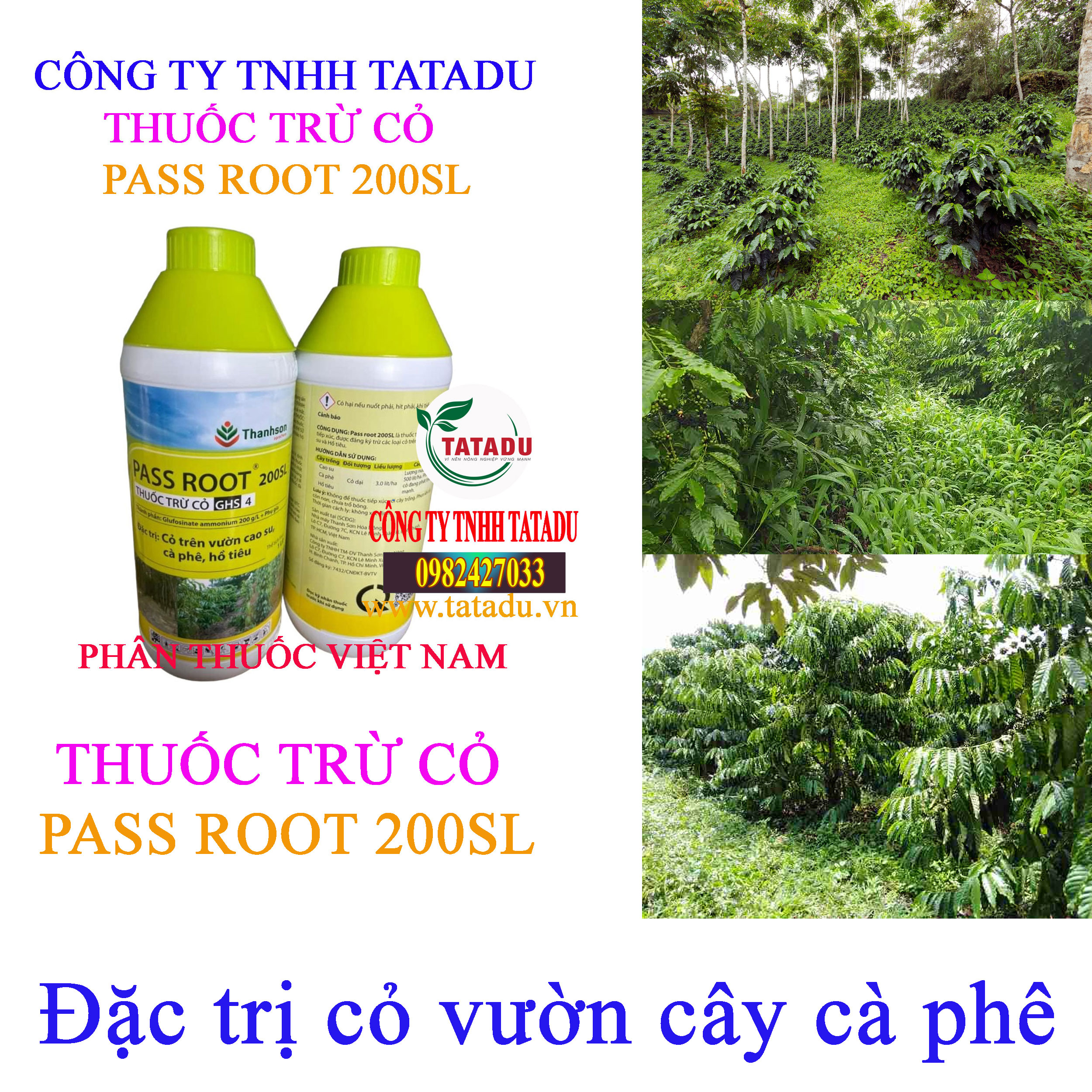 PASS ROOT 200SL co vuon ca phe PASS ROOT 200SL co vuon ca phe