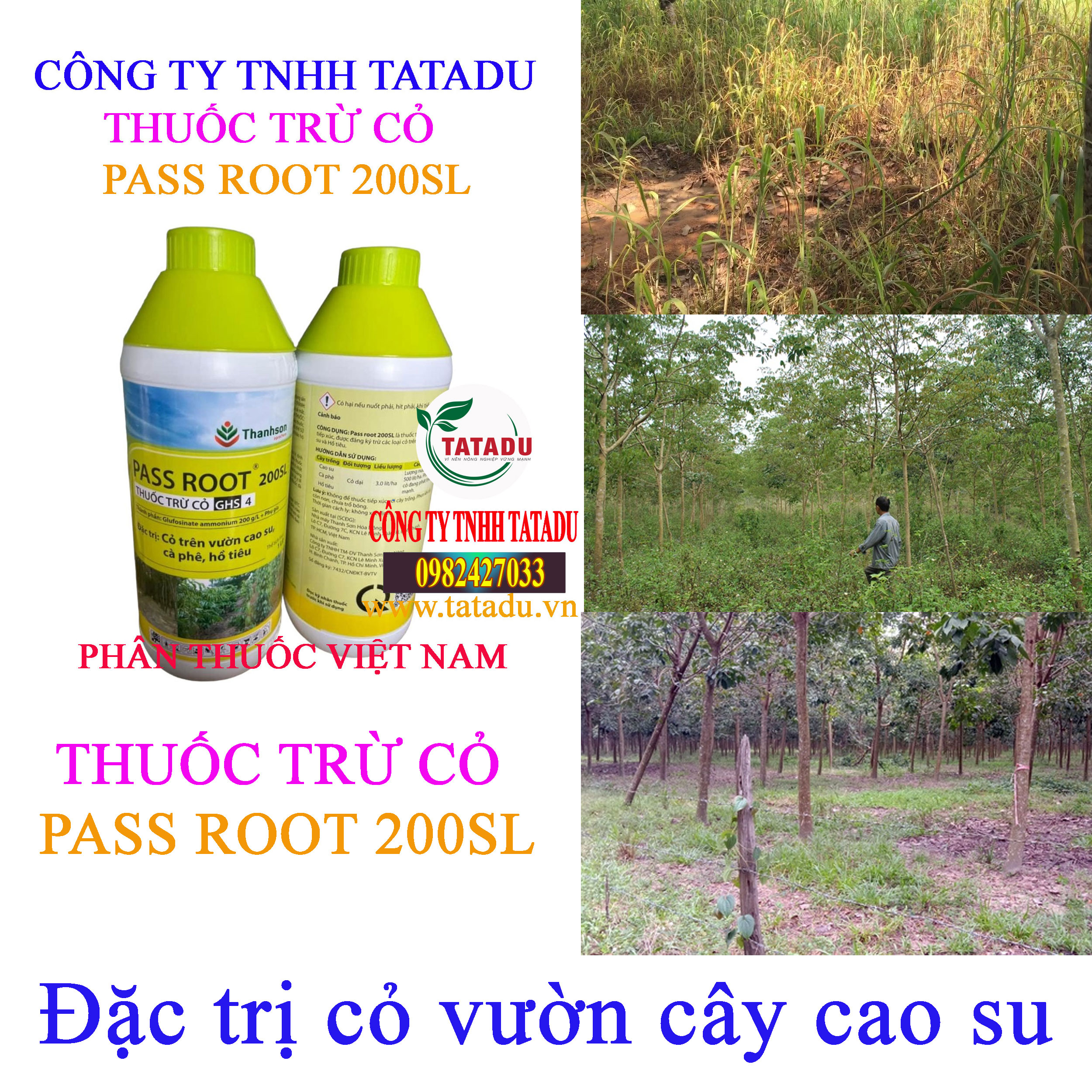 PASS ROOT 200SL co vuon cao su PASS ROOT 200SL co vuon cao su