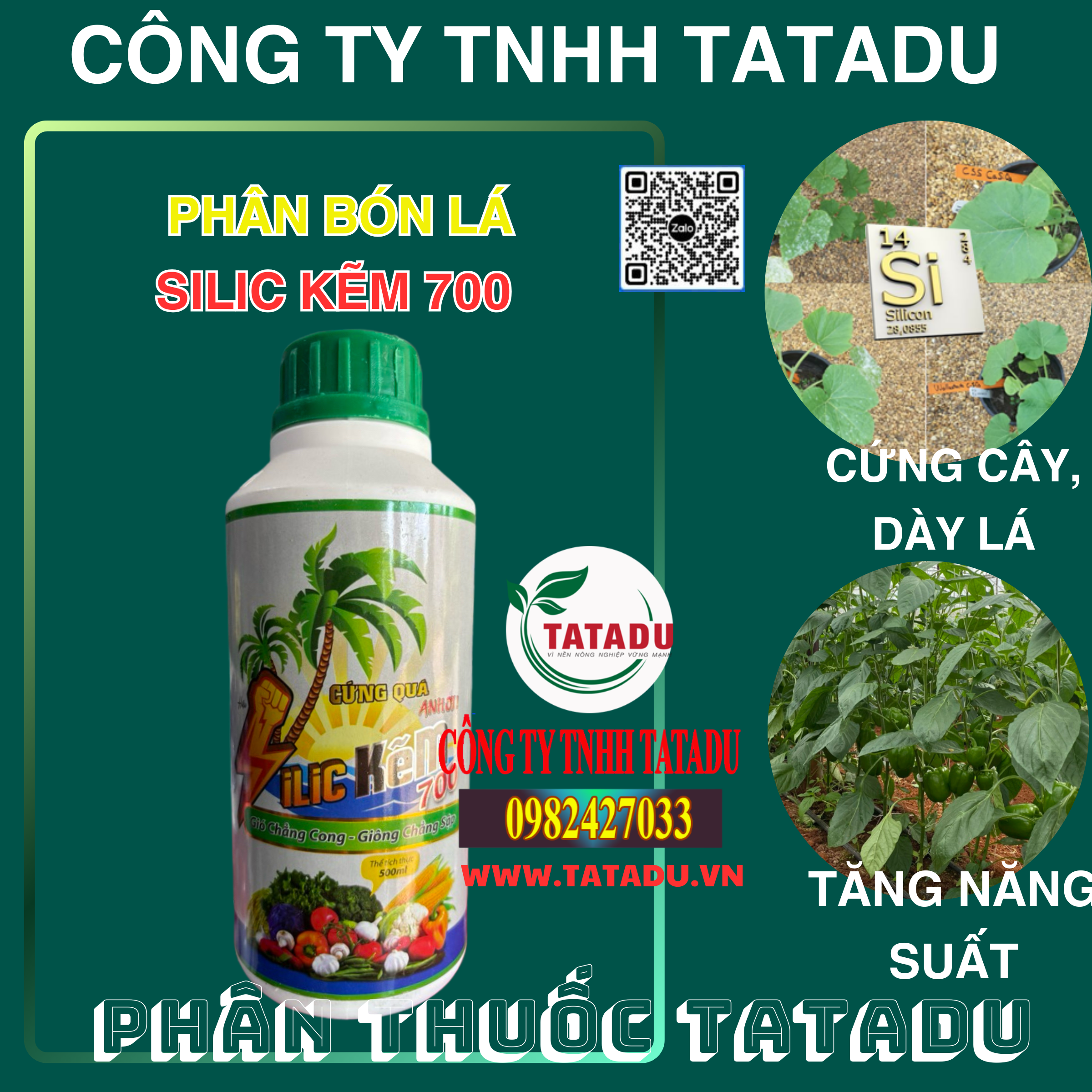 SILIC KEM 700 CUNG CAY DAY LA TANG NANG SUAT SILIC KEM 700 CUNG CAY DAY LA TANG NANG SUAT