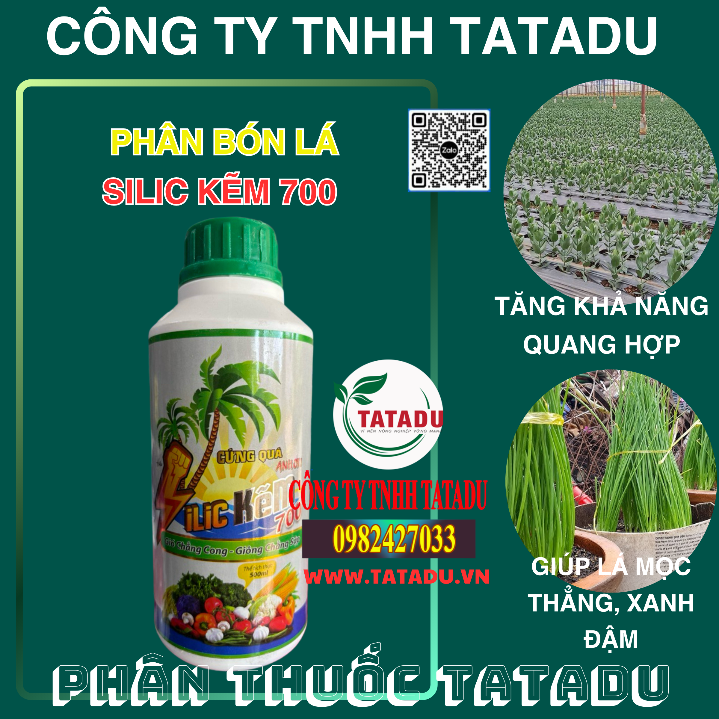 SILIC KEM 700 TANG KHA NANG QUANG HOP GIUP LA MOC THANG XANH DAM SILIC KEM 700 TANG KHA NANG QUANG HOP GIUP LA MOC THANG XANH DAM