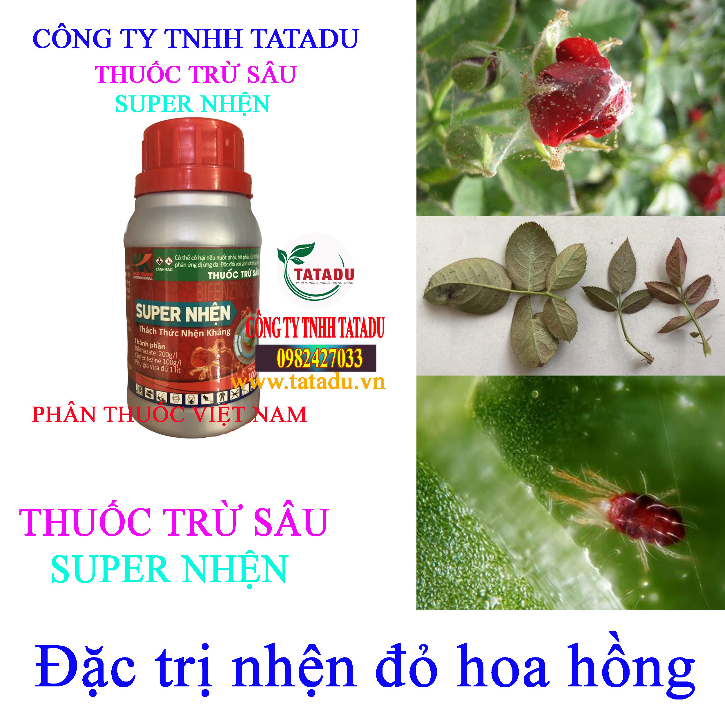 SUPER NHEN nhen do SUPER NHEN nhen do