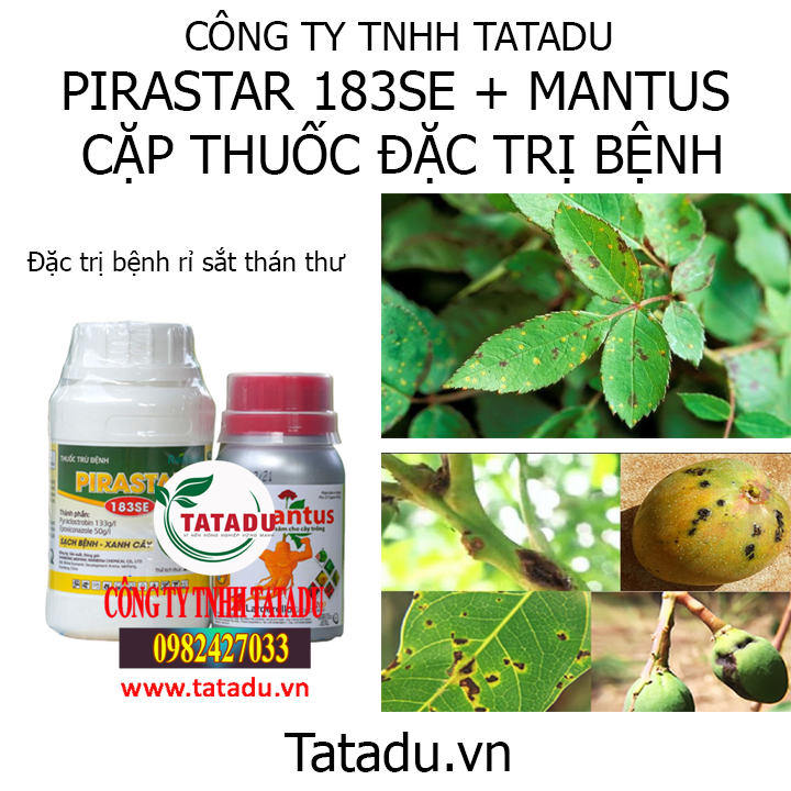 cap hinh
