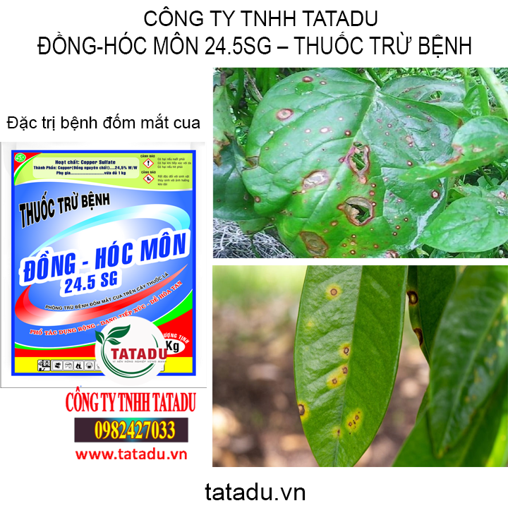 dong tatadu