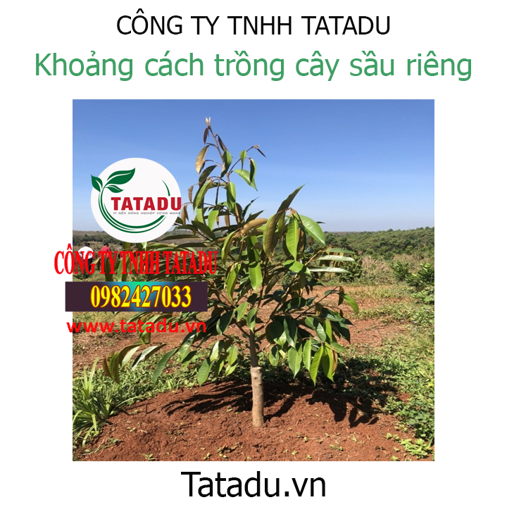 khoang cach