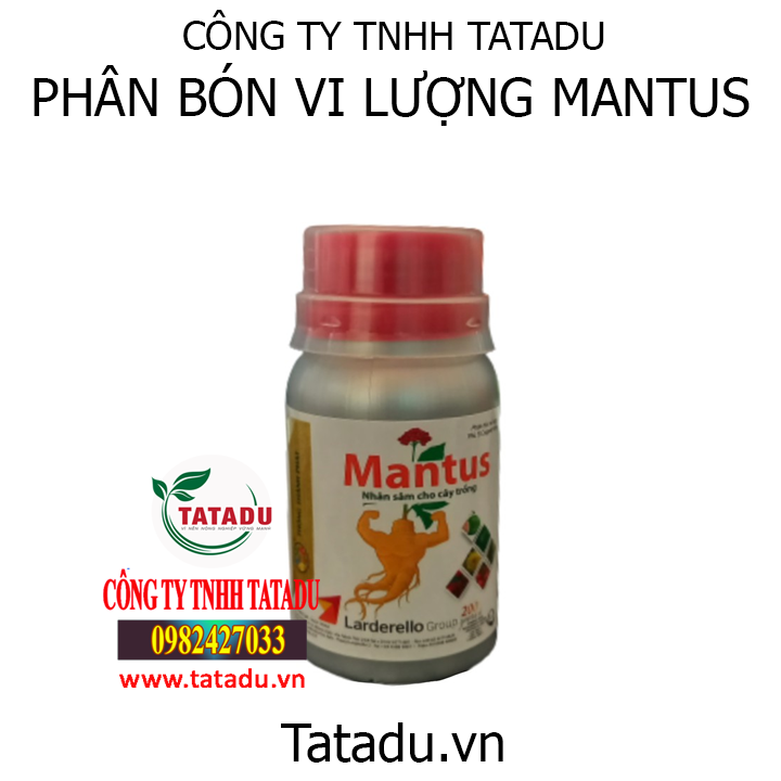 mantus