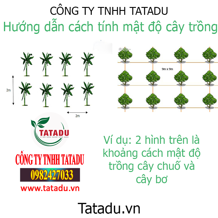 mat do trong cay