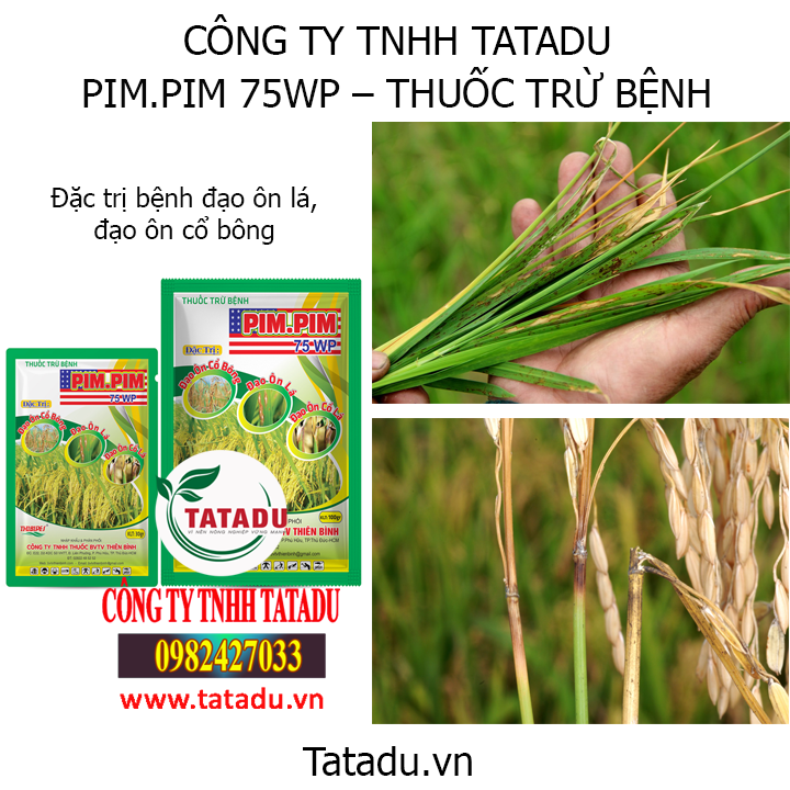 pim hinh tbct