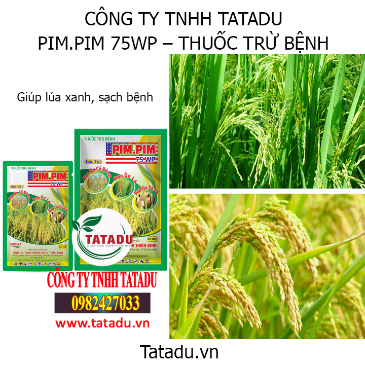 pim hinh1 tbct 1
