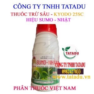 SUMO NHAT