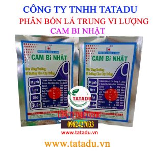 CAM BI NHAT