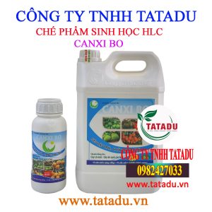 CANXI BO