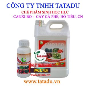 CANXI BO CAY CA PHE