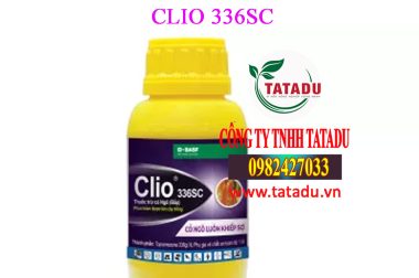 Clio 336SC – Giải Pháp Trừ Cỏ Bắp (Ngô) Phun Trùm An Toàn, Hiệu Quả Vượt Trội!