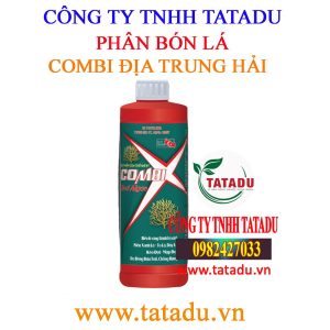 COMBI dia trung hai