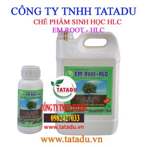 EM ROOT HLC
