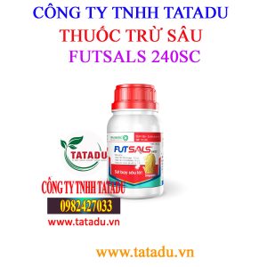 FUTSALS 240SC