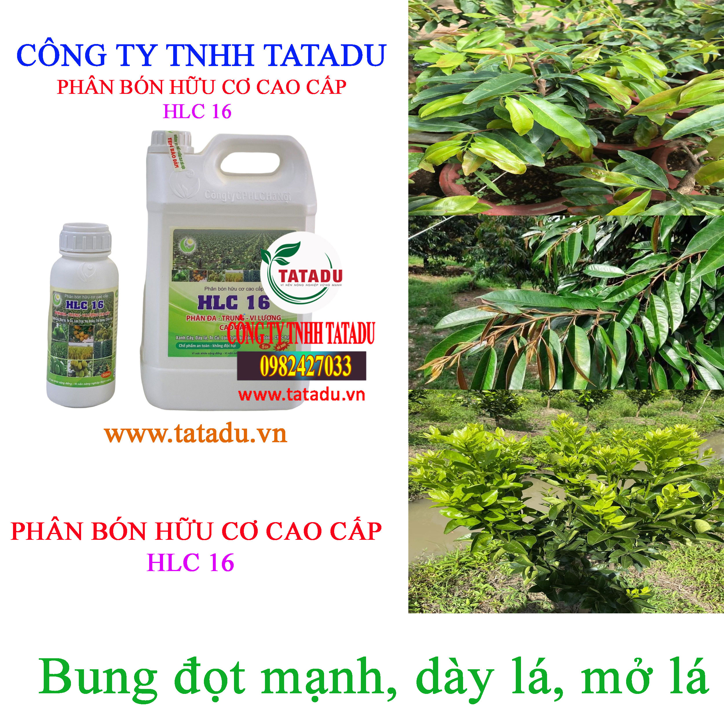HLC 16 bung dot HLC 16 bung dot
