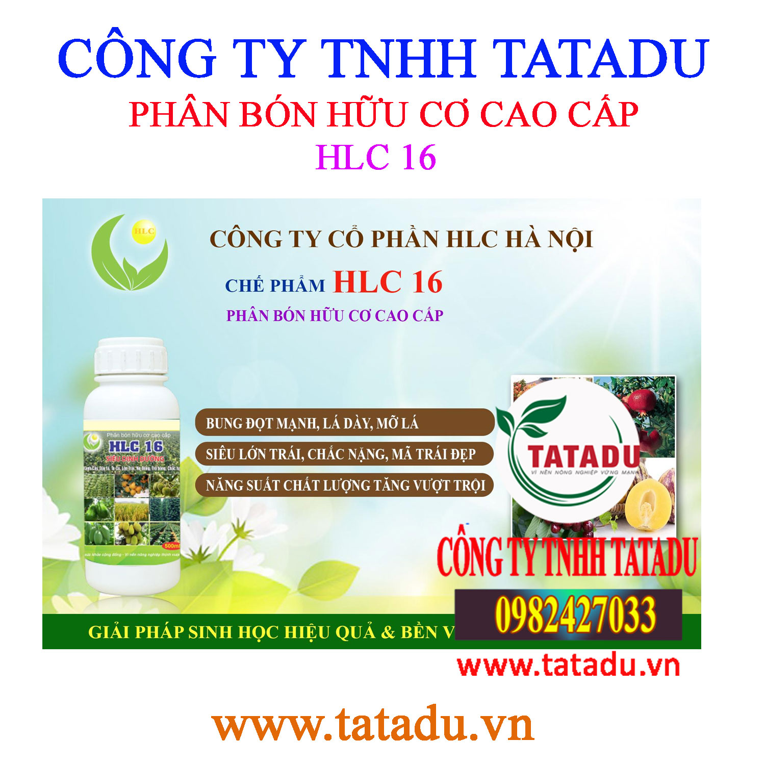 HLC 16 sang trai HLC 16 sang trai