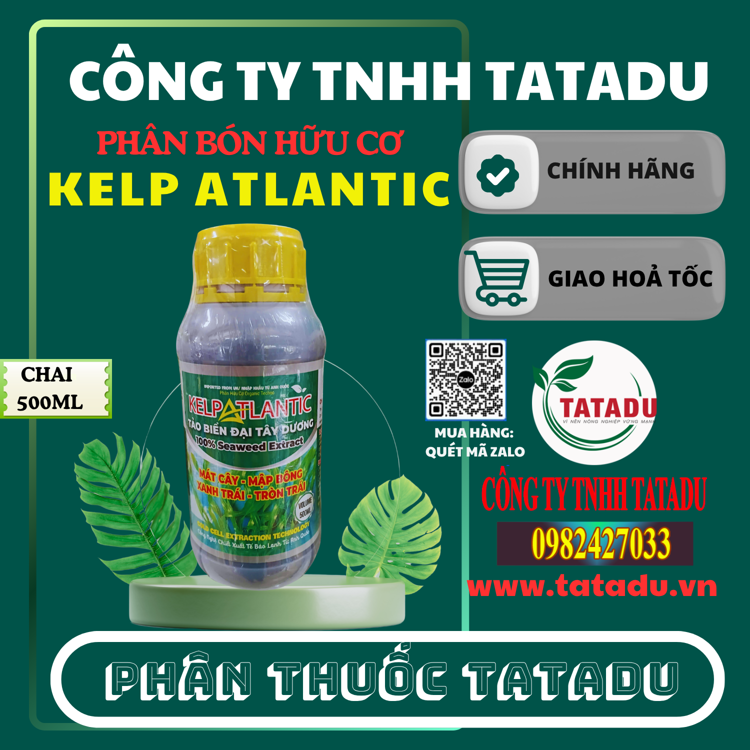 KELP ATLANTIC