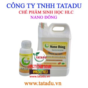 NANO DONG