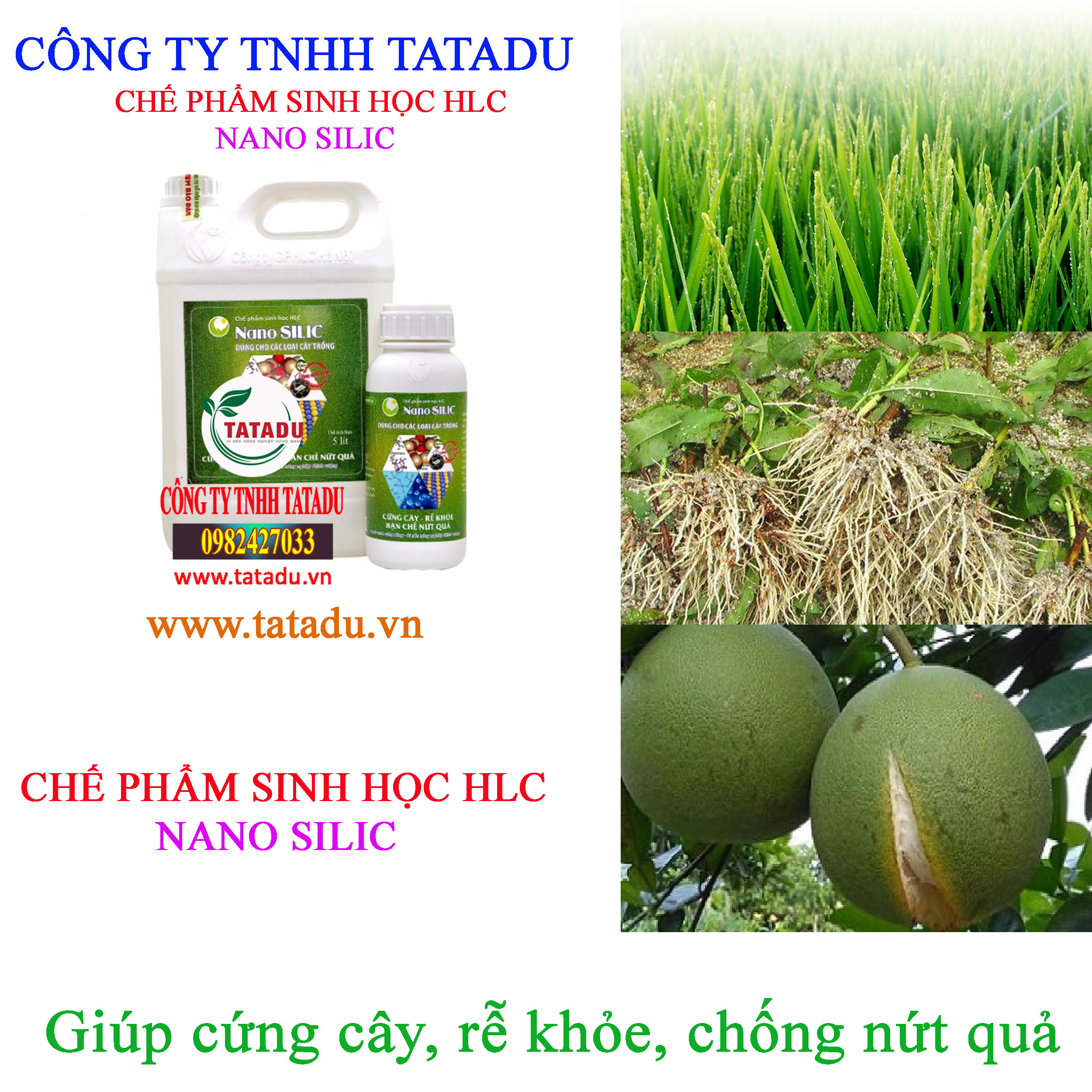 NANO SILIC cung cay NANO SILIC cung cay