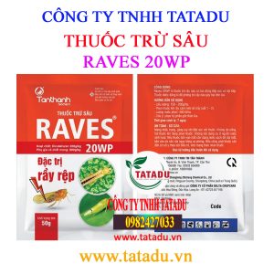 RAVES 20WP