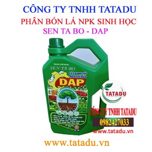 SEN TA BO DAP