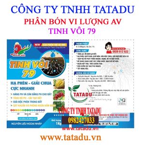 TINH VOI 79