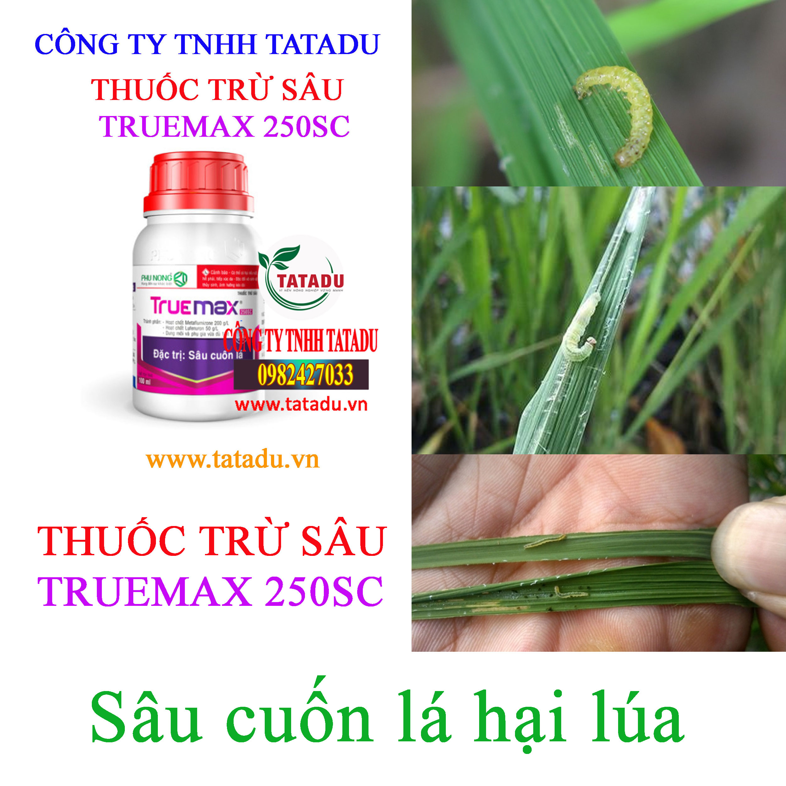 TRUEMAX 250SC sau cuon la TRUEMAX 250SC sau cuon la
