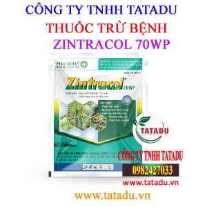 ZINTRACOL 70WP