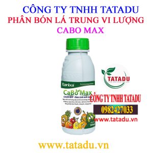 CABO MAX