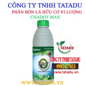 CHADOT MAX
