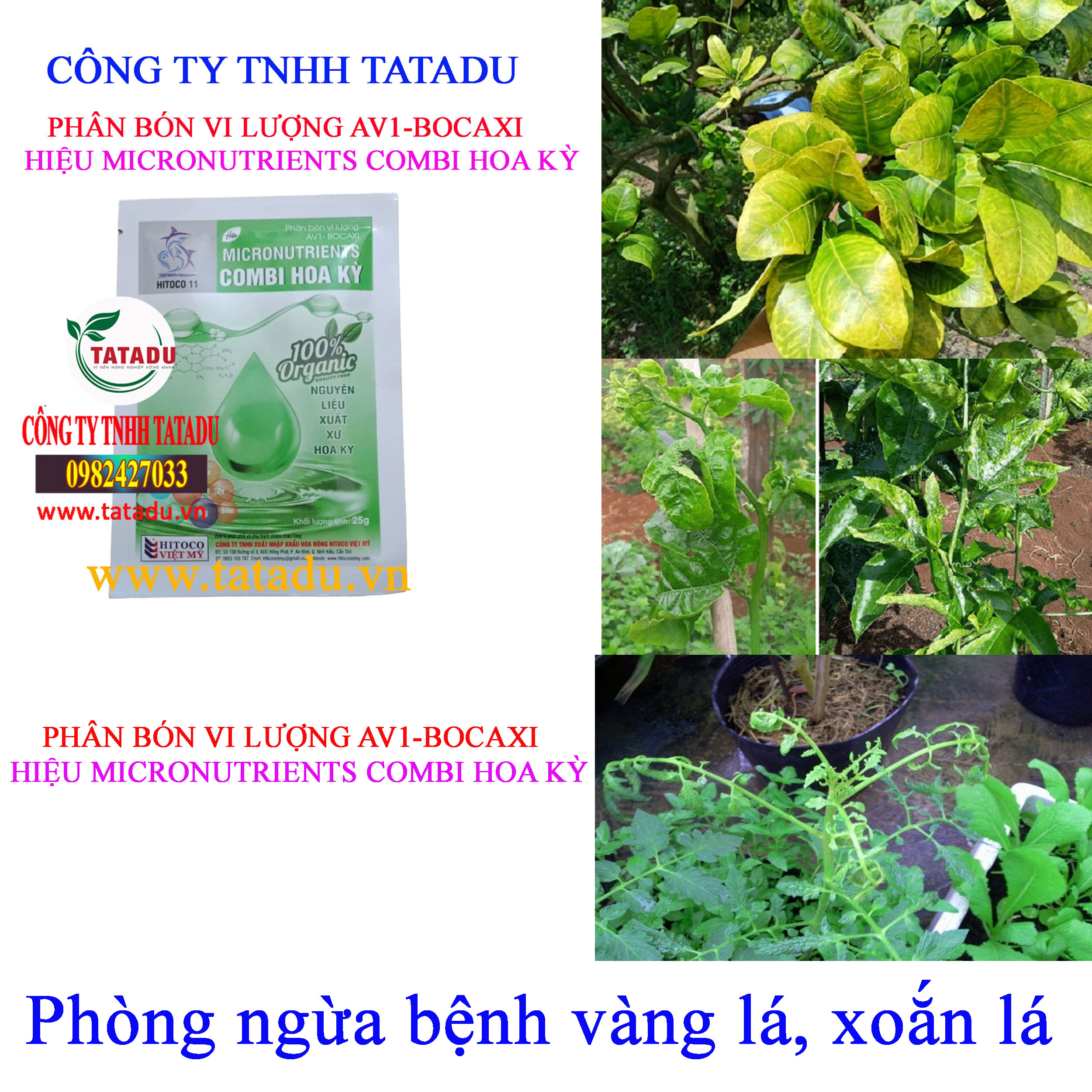 COMBI HOA KY vang la COMBI HOA KY vang la