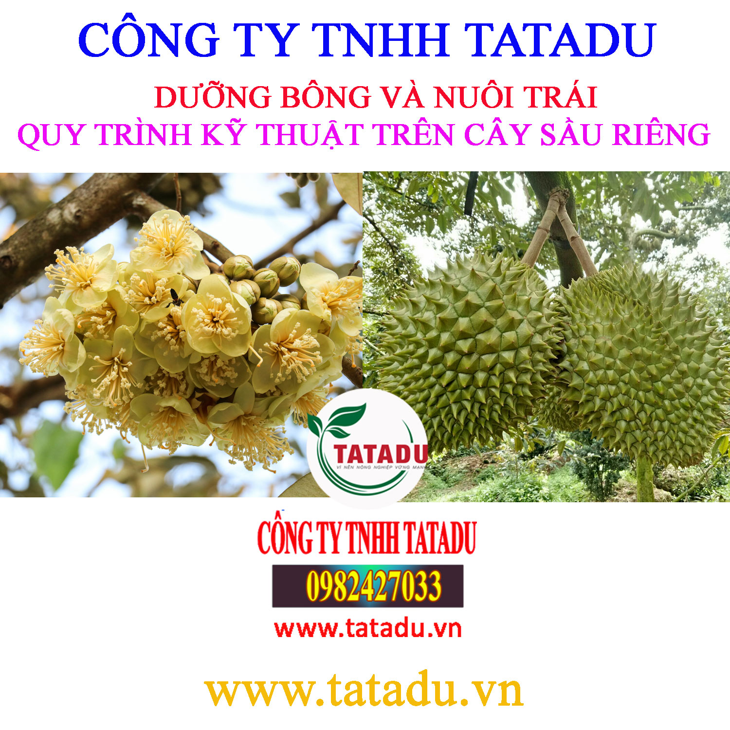 DUONG BONG VA NUOI TRAI SR HITOCO
