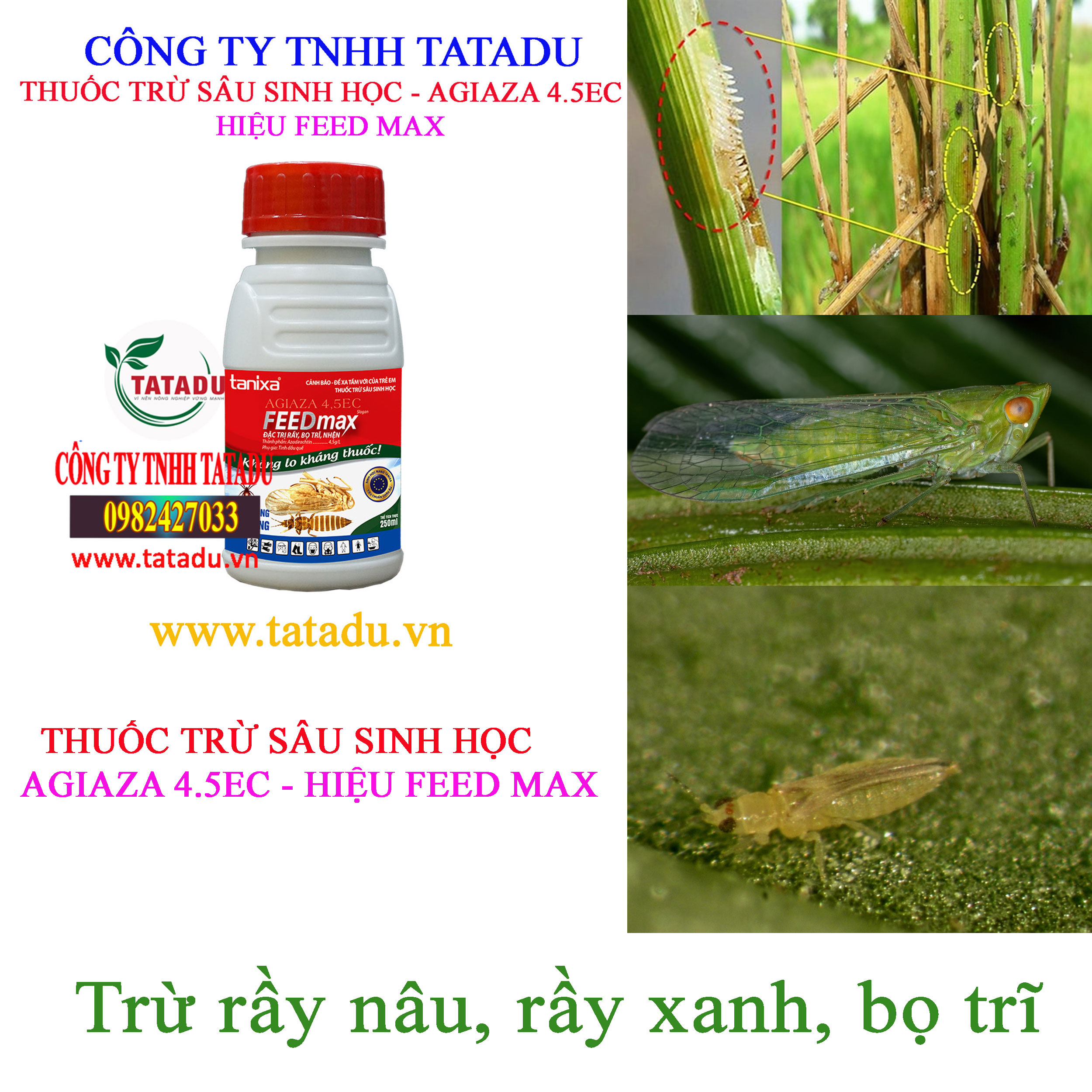 FEED MAX ray nau FEED MAX ray nau