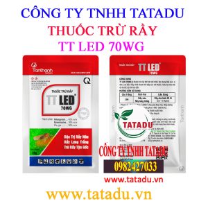 TT LED 70WG