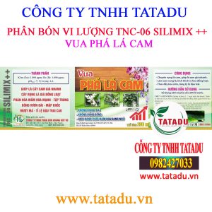 VUA PHA LA CAM