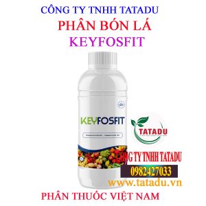 KEYFOSFIT
