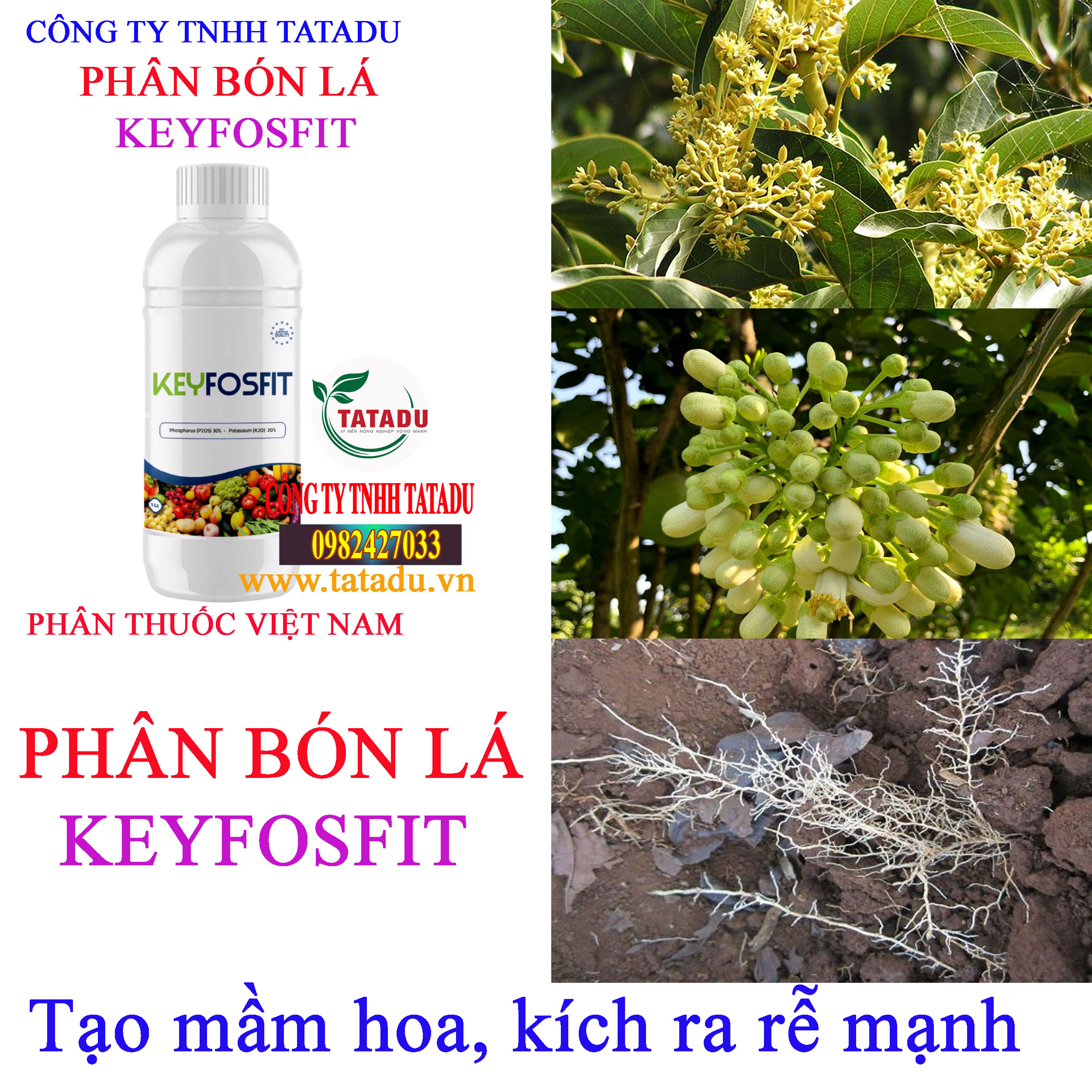 KEYFOSFIT kich re KEYFOSFIT kich re