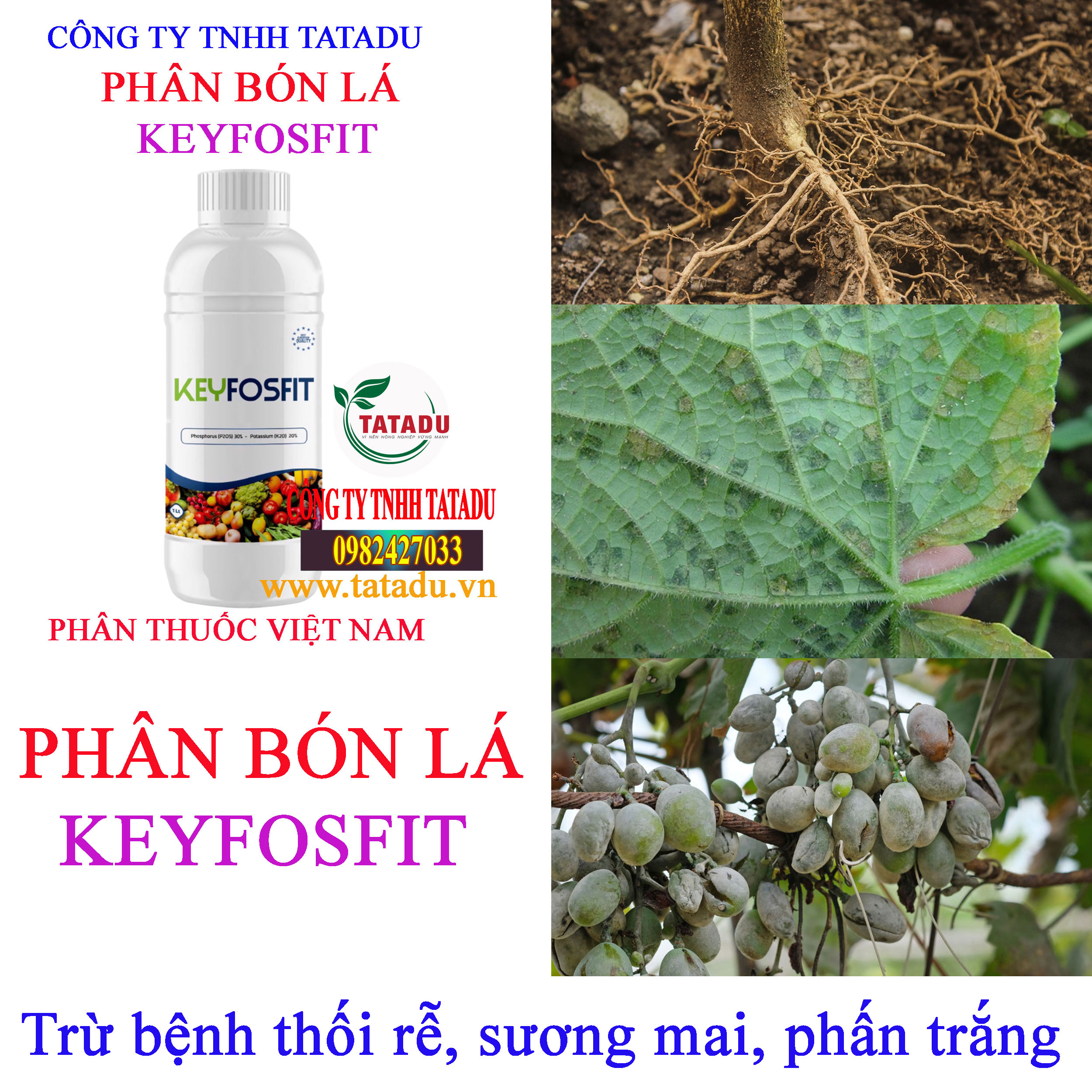 KEYFOSFIT thoi re KEYFOSFIT thoi re