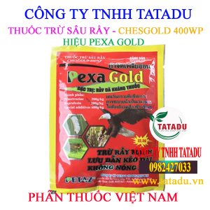 CHESGOLD 400WP
