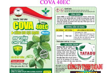CÂY DÂU TẰM BỊ TẤN CÔNG BỞI SÂU CUỐN LÁ, SÂU KHOANG PHẢI LÀM SAO ?
