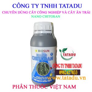 NANO CHITOSAN