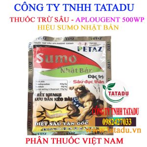 SUMO NHAT BAN