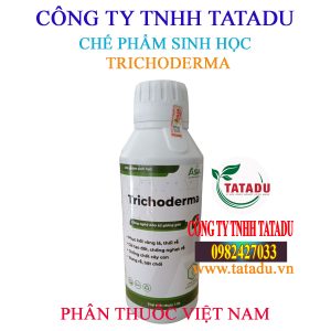 TRICHODERMA ASIA