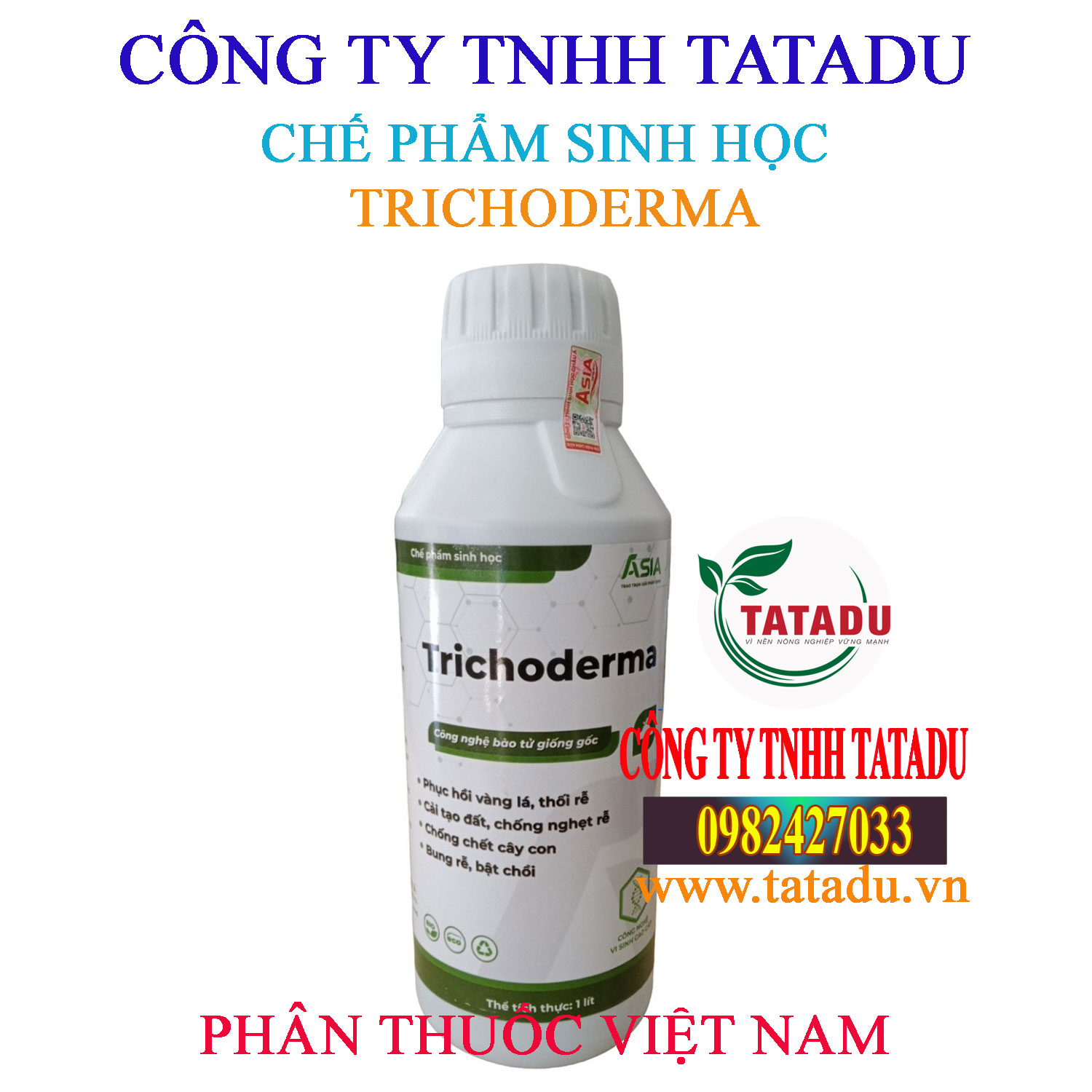 TRICHODERMA ASIA