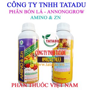 AMINO ZN