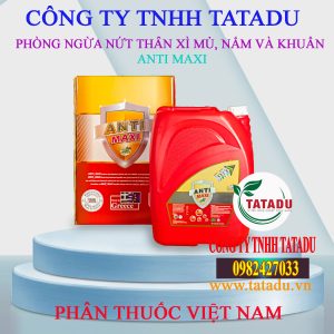 ANTI MAXI CAN 20 LIT